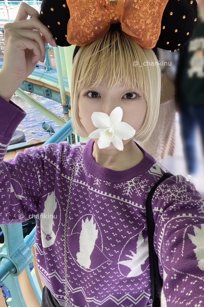 きぬさんの写真